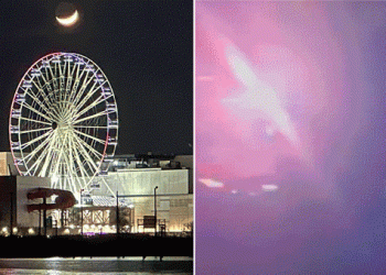 Video shows New Jersey street takeover erupting with mob shooting fireworks at police