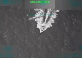 Trump saves American lives with ‘overwhelming force’ against drug smugglers encroaching on US beaches: expert