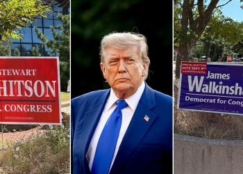 Trump’s agenda, DOGE cuts loom large in Virginia special election to fill vacant House seat