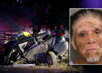 Previously deported blue state driver charged with murdering six people in crash: report