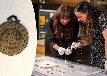 Experts intrigued after thrift shopper spots mysterious ancient artifacts on sale for $30