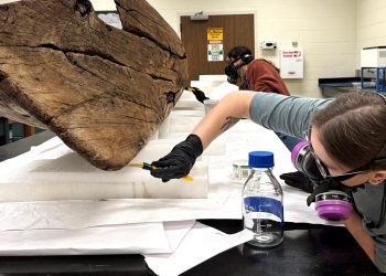 Mysterious wooden canoe found after Hurricane Ian still baffles experts three years later
