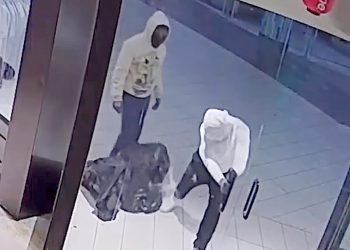 Masked looters caught on camera trashing Florida store, stealing clothes