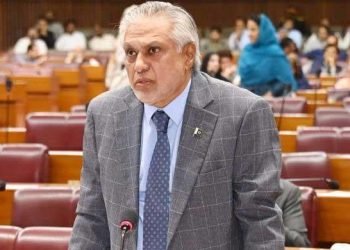 Trump’s 20-point Gaza peace plan ‘not ours’: DPM Dar