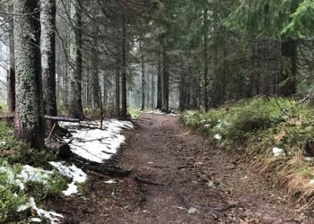 Why is Sweden a country ‘prescribed by doctors’?