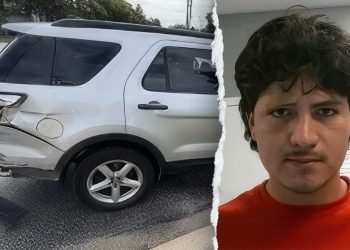 ICE officers in Illinois targeted by illegal immigrants who used ‘vehicles as weapons,’ officials say